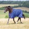 Tempest Original 100g Turnout Rug