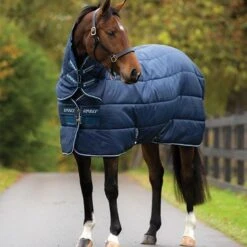 Amigo Insulator Plus 350g Heavyweight Combo Stable Rug Navy/White