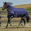Weatherbeeta ComFiTec Essential 220g Medium Weight Combo Neck Turnout Rug 2 Weatherbeeta ComFiTec Essential 220g Medium Weight Combo Neck Turnout Rug -Horse Supply Store go 517458 a