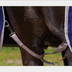 Weatherbeeta ComFiTec Essential 220g Medium Weight Combo Neck Turnout Rug 17 Weatherbeeta ComFiTec Essential 220g Medium Weight Combo Neck Turnout Rug -Horse Supply Store go 517458 g