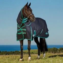Weatherbeeta Green-Tec 900D 220g Medium Weight Detach-A-Neck Turnout Rug