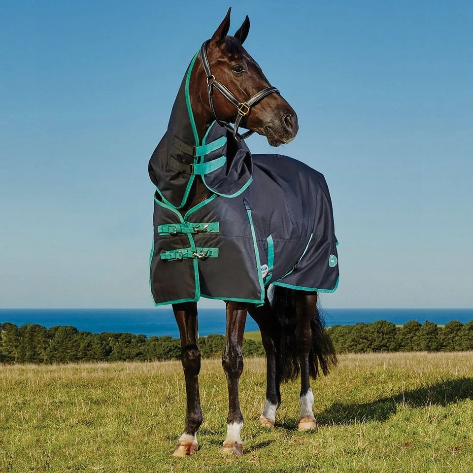 Weatherbeeta Green-Tec 900D 220g Medium Weight Detach-A-Neck Turnout Rug 4 Weatherbeeta Green-Tec 900D 220g Medium Weight Detach-A-Neck Turnout Rug - Image 2