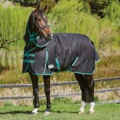 Weatherbeeta Green-Tec 900D 220g Medium Weight Detach-A-Neck Turnout Rug 18 Weatherbeeta Green-Tec 900D 220g Medium Weight Detach-A-Neck Turnout Rug -Horse Supply Store go 517479 c