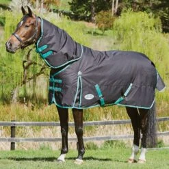 Weatherbeeta Green-Tec 900D 220g Medium Weight Detach-A-Neck Turnout Rug 19 Weatherbeeta Green-Tec 900D 220g Medium Weight Detach-A-Neck Turnout Rug -Horse Supply Store go 517479 d