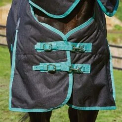 Weatherbeeta Green-Tec 900D 220g Medium Weight Detach-A-Neck Turnout Rug 20 Weatherbeeta Green-Tec 900D 220g Medium Weight Detach-A-Neck Turnout Rug -Horse Supply Store go 517479 e