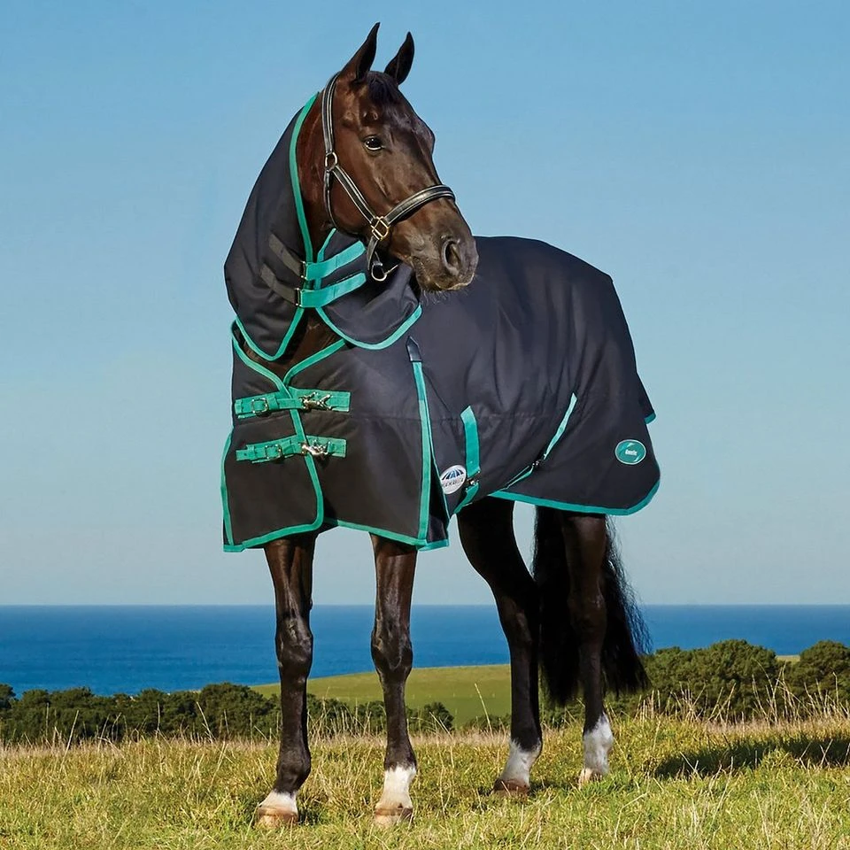 Weatherbeeta Green-Tec 900D 220g Medium Weight Detach-A-Neck Turnout Rug 16 Weatherbeeta Green-Tec 900D 220g Medium Weight Detach-A-Neck Turnout Rug - Image 14