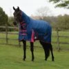 Weatherbeeta ComFiTec Classic Medium Combo Turnout Rug -Horse Supply Store go 517501 a