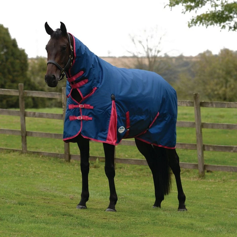 Weatherbeeta ComFiTec Classic Medium Combo Turnout Rug 4 Weatherbeeta ComFiTec Classic Medium Combo Turnout Rug - Image 2