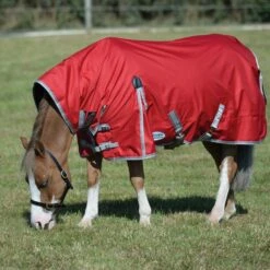Weatherbeeta ComFiTec Classic Combo Rug Medium -Horse Supply Store go 517502 c