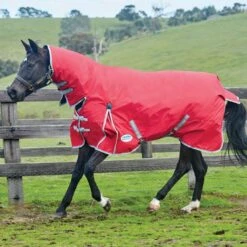 Weatherbeeta ComFiTec Classic Combo Rug Medium -Horse Supply Store go 517502 z