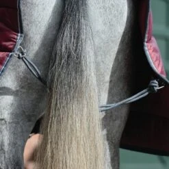 Weatherbeeta ComFiTec 210D Channel Quilt 400g Heavy Weight Combo Stable Rug -Horse Supply Store go 517505 e