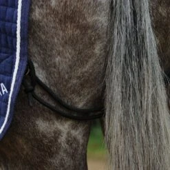 Weatherbeeta Thermocell Quarter Sheet 10 Weatherbeeta Thermocell Quarter Sheet -Horse Supply Store go 517512 d