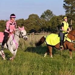 Winter Wrap Around Rug Red Orange -Horse Supply Store go 527726 c