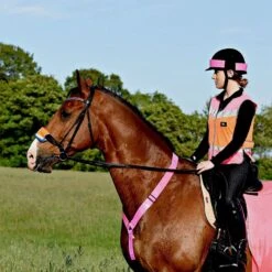 Charlotte Dujardin Multi-Coloured Waistcoat Pink/Orange 11 Charlotte Dujardin Multi-Coloured Waistcoat Pink/Orange -Horse Supply Store go 527737 c