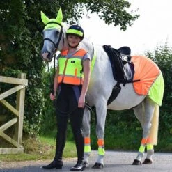 Charlotte Dujardin Multi-Coloured Nose Band 9 Charlotte Dujardin Multi-Coloured Nose Band -Horse Supply Store go 527739 c