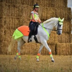 Charlotte Dujardin Multi-Coloured Nose Band 10 Charlotte Dujardin Multi-Coloured Nose Band -Horse Supply Store go 527739 d