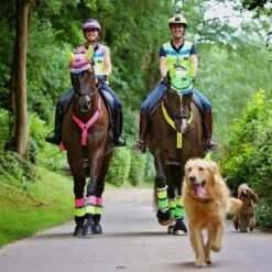Charlotte Dujardin Reflective Multi-Coloured Mesh Horse Ears Pink/Yellow -Horse Supply Store go 527746 c