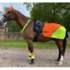 Charlotte Dujardin Reflective Multi-Coloured Mesh Horse Ears Yellow/Orange -Horse Supply Store go 527747 a