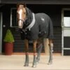Magnetic Rug -Horse Supply Store go 571598 a