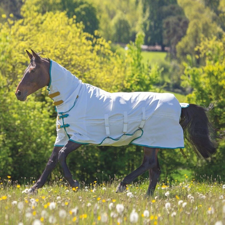 Tempest Plus Sweet-itch Combo Rug 4 Tempest Plus Sweet-itch Combo Rug - Image 2