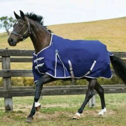 Weatherbeeta ComFiTec Essential 220g Medium Weight Standard Neck Turnout Rug 13 Weatherbeeta ComFiTec Essential 220g Medium Weight Standard Neck Turnout Rug -Horse Supply Store go 581434 z