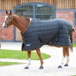 Tempest 300g Stable Rug