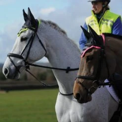 Weatherbeeta Reflective Ear Bonnet 8 Weatherbeeta Reflective Ear Bonnet -Horse Supply Store go 590176 c