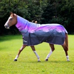 Highlander 100g Combo Turnout Rug -Horse Supply Store go 614499 c