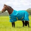 Tempest Original 50 Turnout Rug -Horse Supply Store go 614503 a