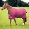 Tempest Original 200g Turnout Rug -Horse Supply Store go 614505 a