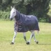 Typhoon 100g Combo Turnout Rug -Horse Supply Store go 614507 a