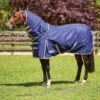 Weatherbeeta ComFiTec Essential Detach-A-Neck Lite Plus -Horse Supply Store go 616026 a