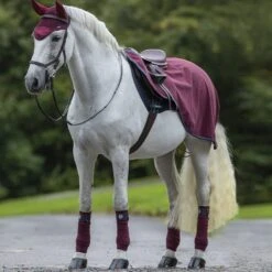 Competition Sheet -Horse Supply Store go 616299 z