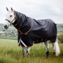 Supreme 1680D Detachable Neck Turnout Rug 7 Supreme 1680D Detachable Neck Turnout Rug -Horse Supply Store go 616301 z