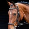 Salisbury Brampton Bridle -Horse Supply Store go 622587 a