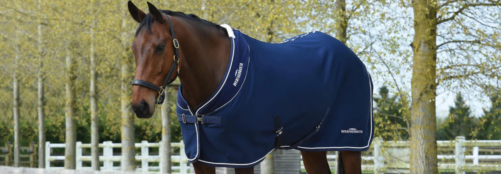 Horse Supply Store -Horse Supply Store fghfgh